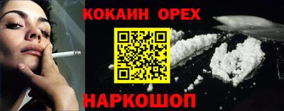 индика Камышлов
