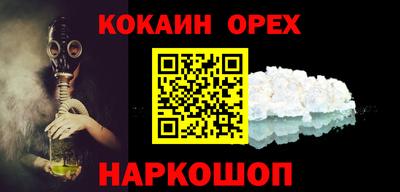 индика Камышлов
