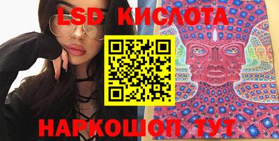 индика Камышлов