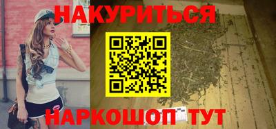 индика Камышлов