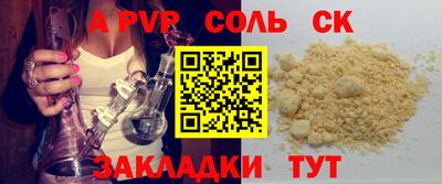 индика Камышлов
