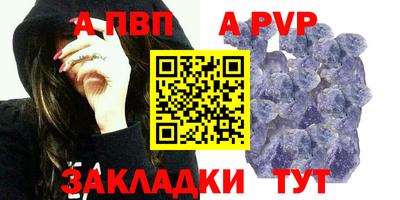 индика Камышлов