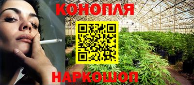 индика Камышлов