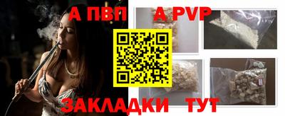 индика Камышлов