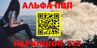 индика Камышлов