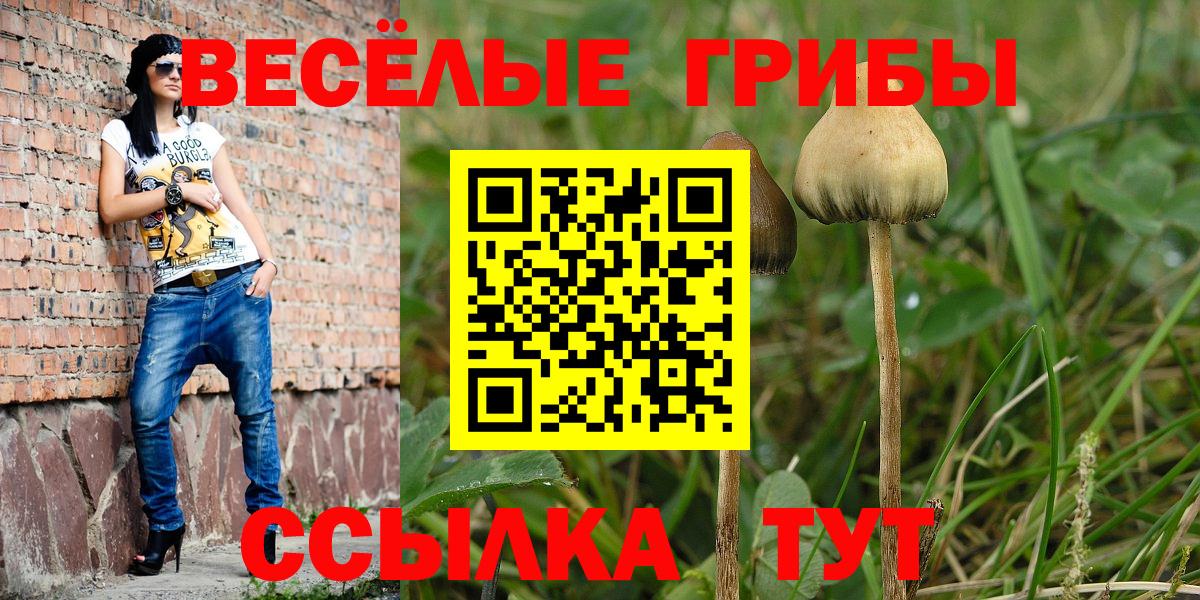 Избербаш  Галлюциногенные грибы MAGIC MUSHROOMS  закладки  Вход с VPN 