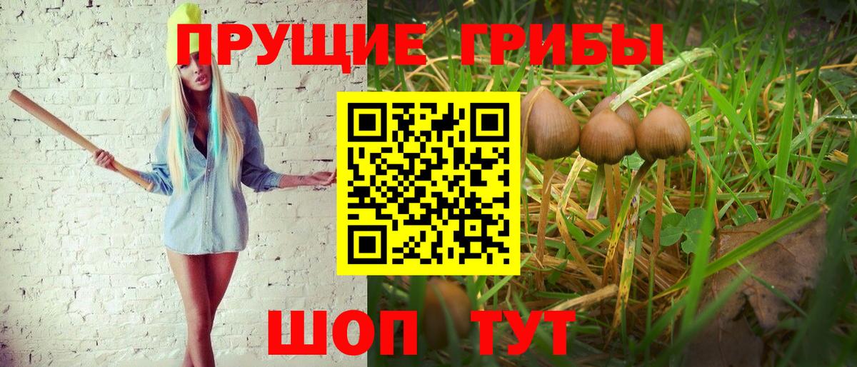 Галлюциногенные грибы Magic Shrooms Избербаш